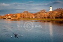 harvard rowing