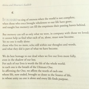 10421622_10205685642077356_6640066114176410436_n